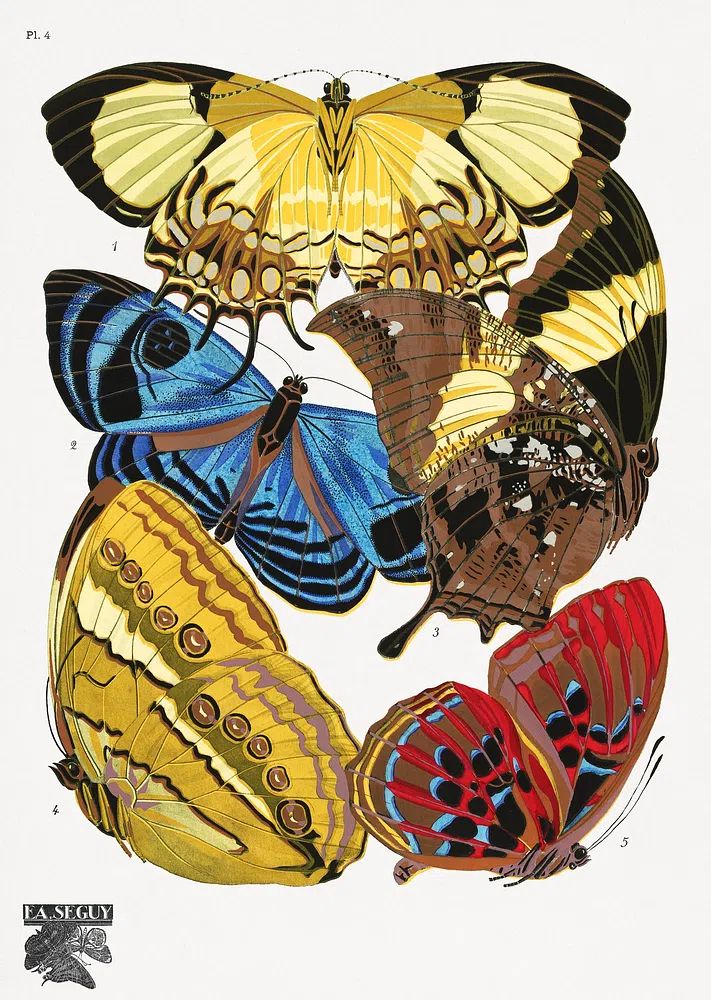 E.A. Séguy 's vintage butterflies. poster detail
