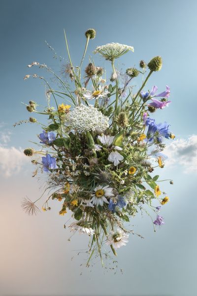 Wildflower Bouquet Botanical Print. poster print