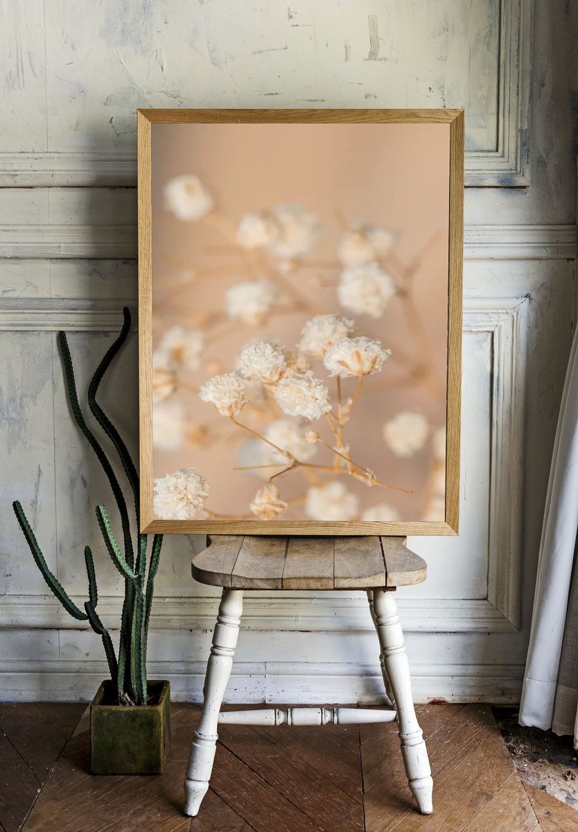 Dried gypsophila flowers macro shot. room preview