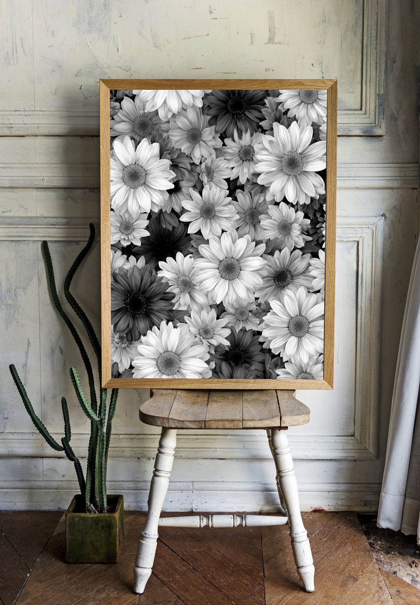 Black and White Daisy Floral Print. — room view 1
