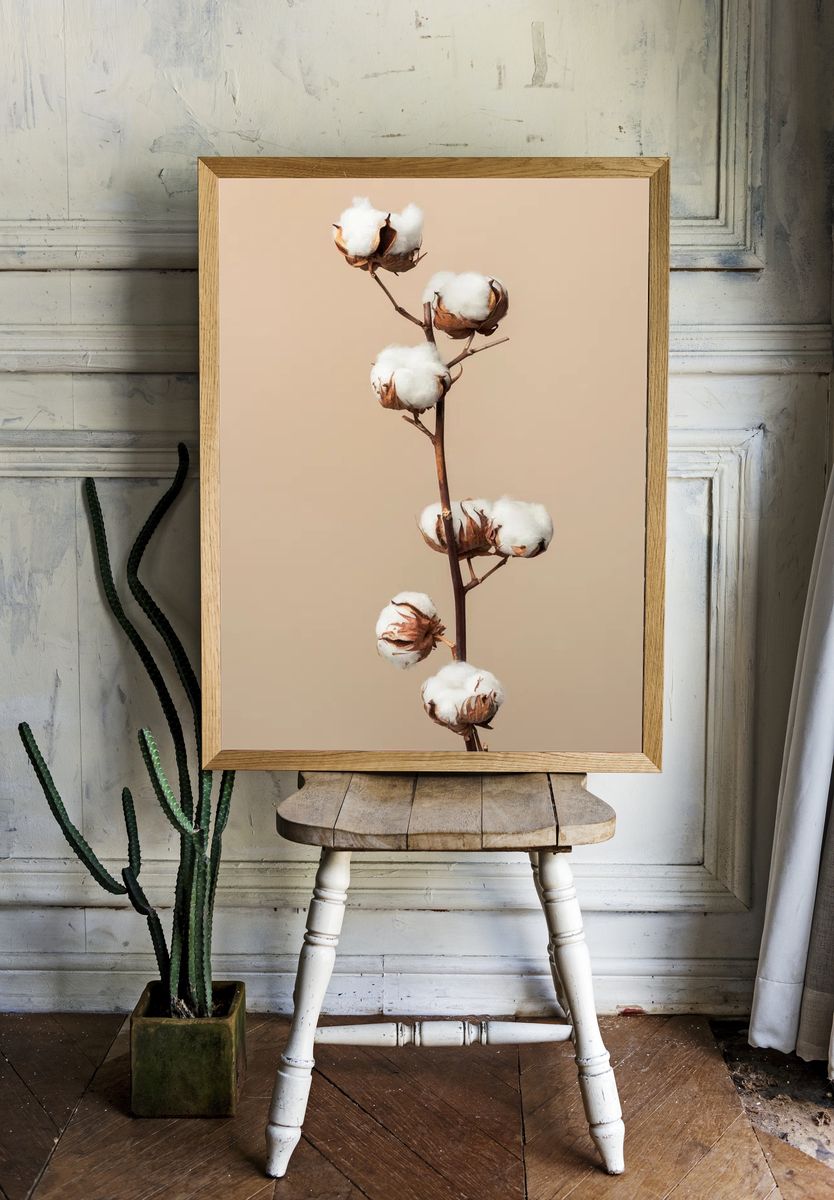 Dried fluffy cotton flower branch. — room view 1