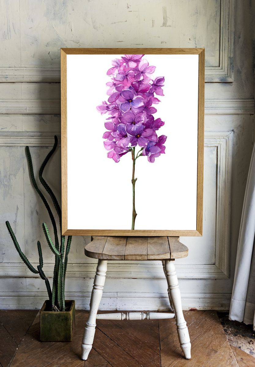 Purple Hydrangea Watercolor Print. — room view 1