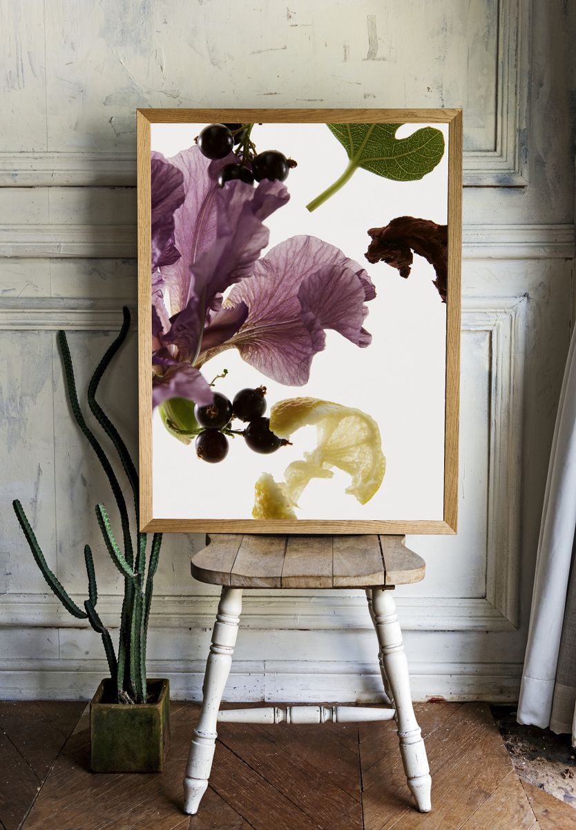 Botanical Still Life Photography Poster. — room view 1