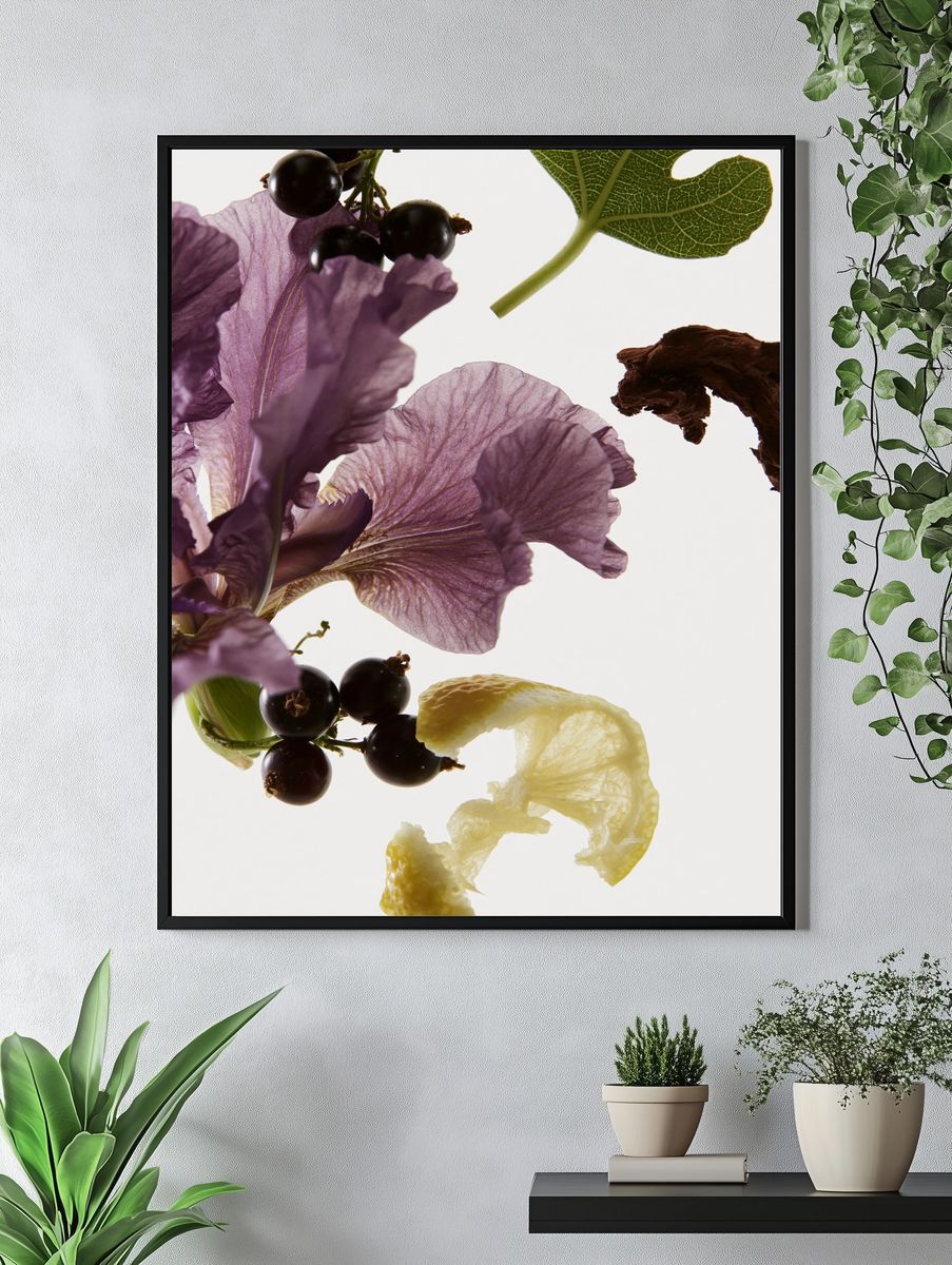 Botanical Still Life Photography Poster. — room view 4