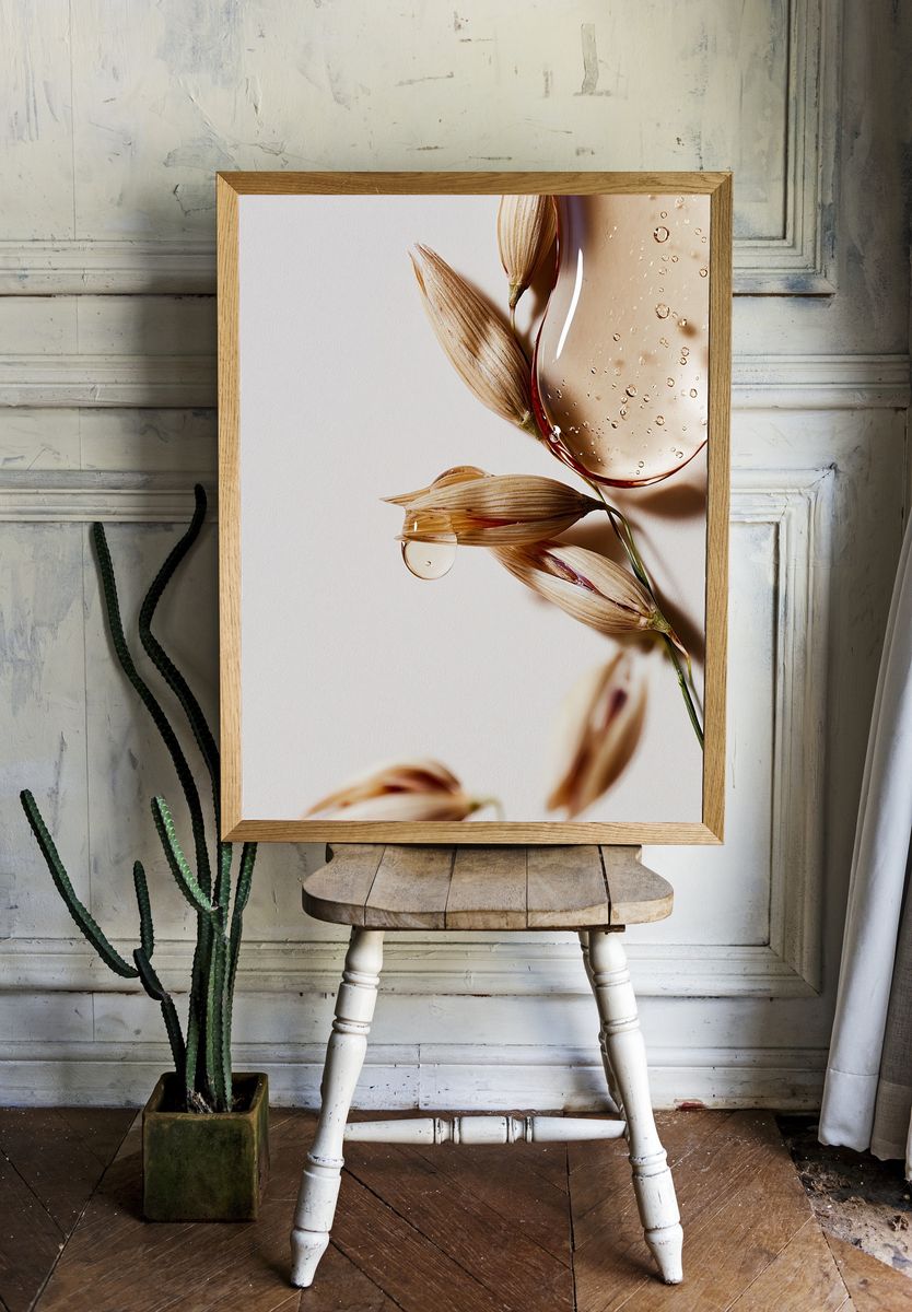 Dried Petals and Water Droplets Print. — room view 1