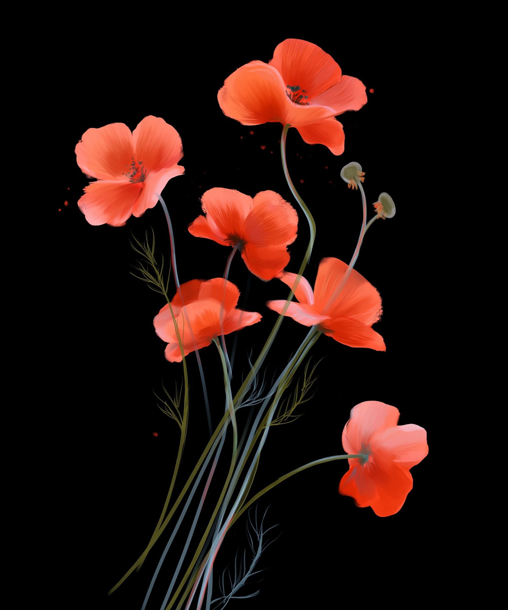 Coral Poppy Bloom Print. poster detail