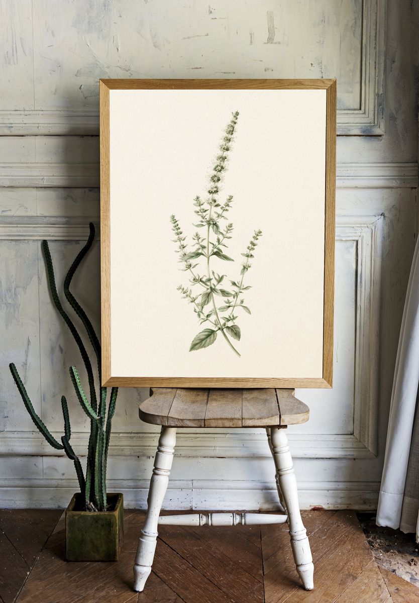 Botanical Herb Sprig Print. — room view 1