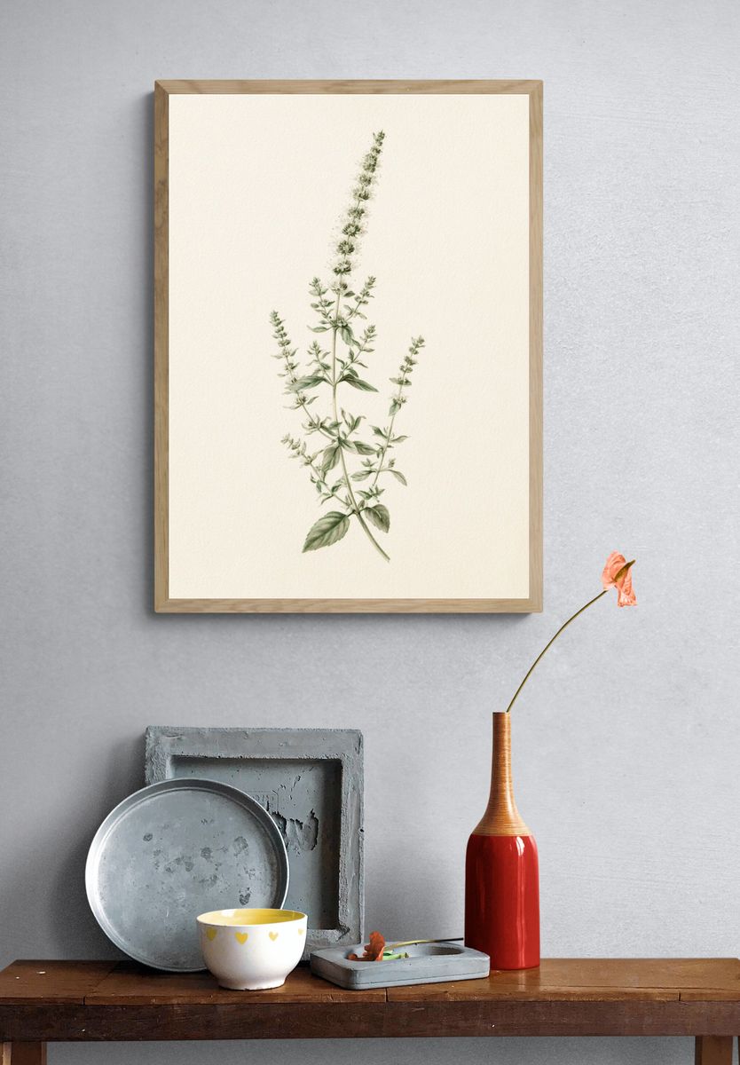 Botanical Herb Sprig Print. — room view 3