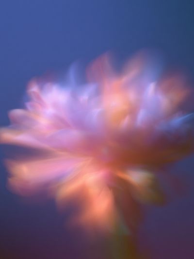 Dreamy Floral Blur Print.