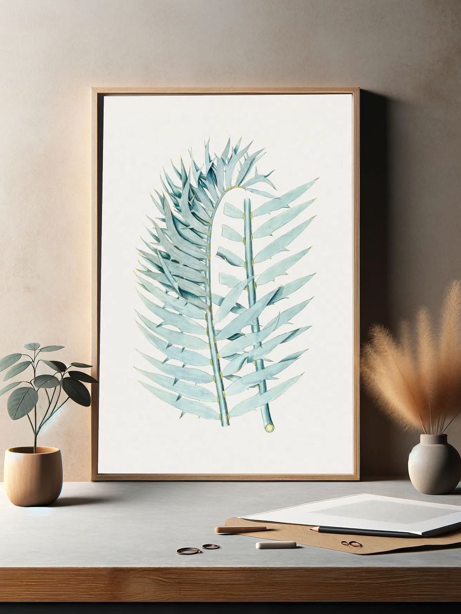 Vintage Eastern Cpe blue cycad. — room view 2