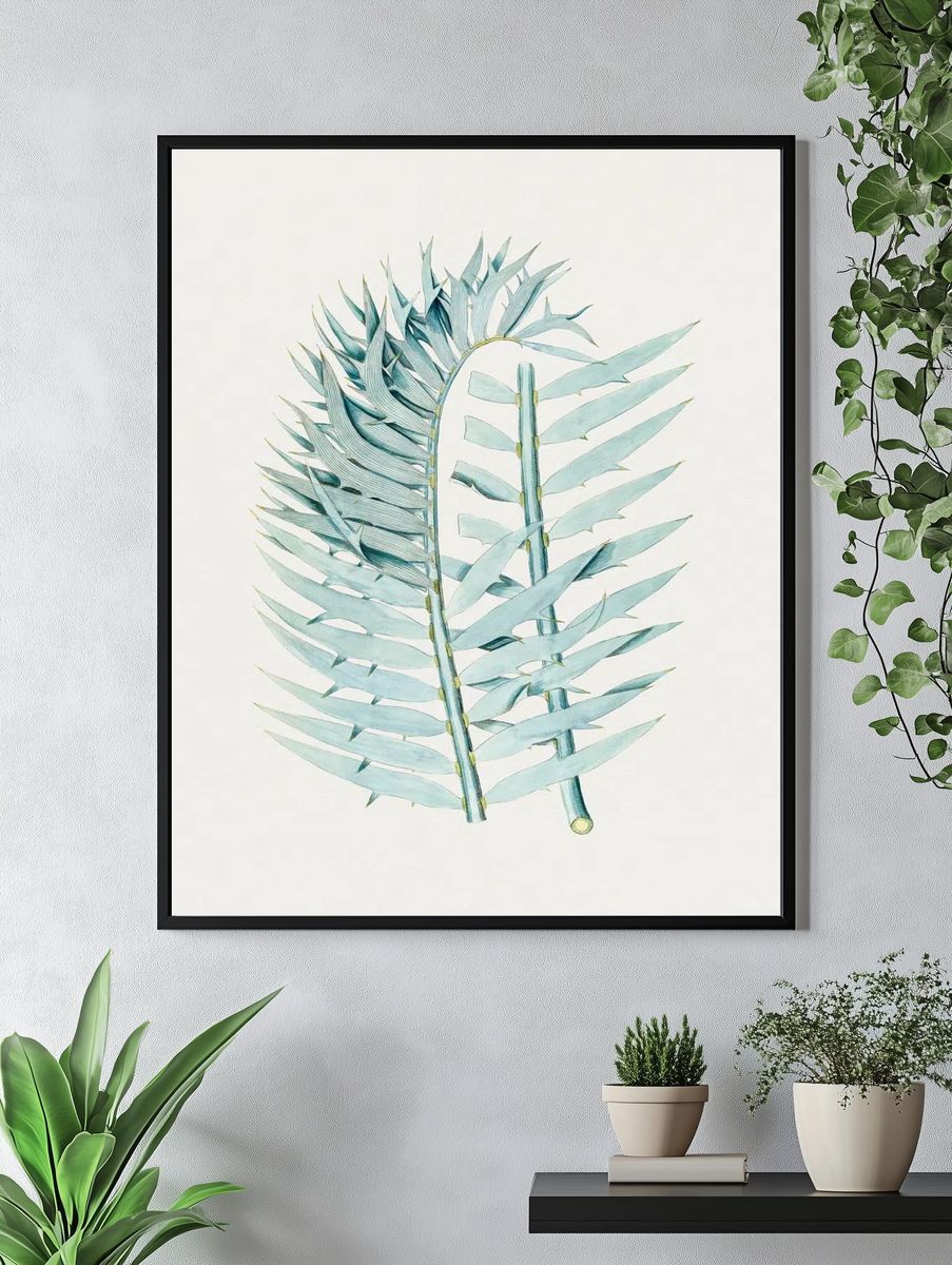 Vintage Eastern Cpe blue cycad. — room view 4