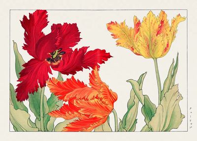 Parrot tulip, Japanese woodblock art. poster