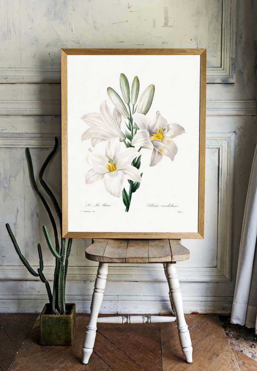 Madonna Lily Choix des plus room preview