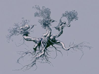 Ancient Tree Roots Illustration Poster.