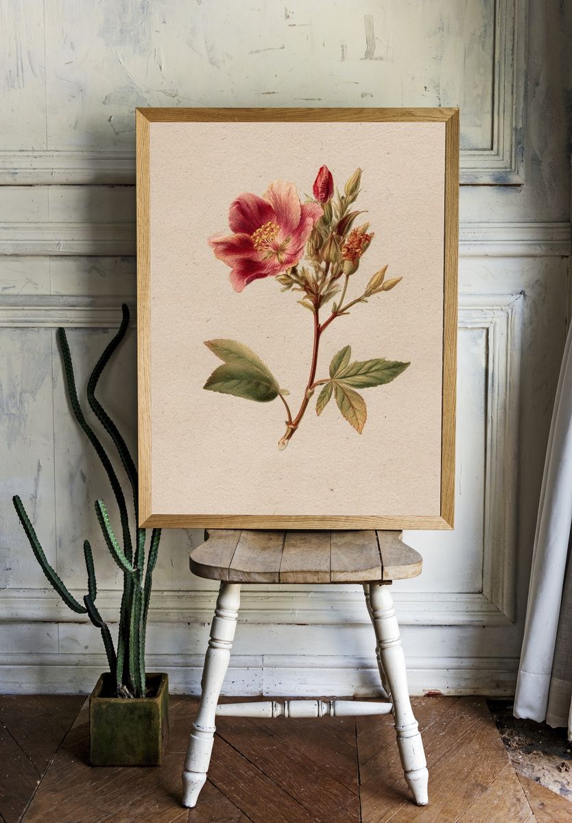 Vintage Pink Flower Botanical Print room preview