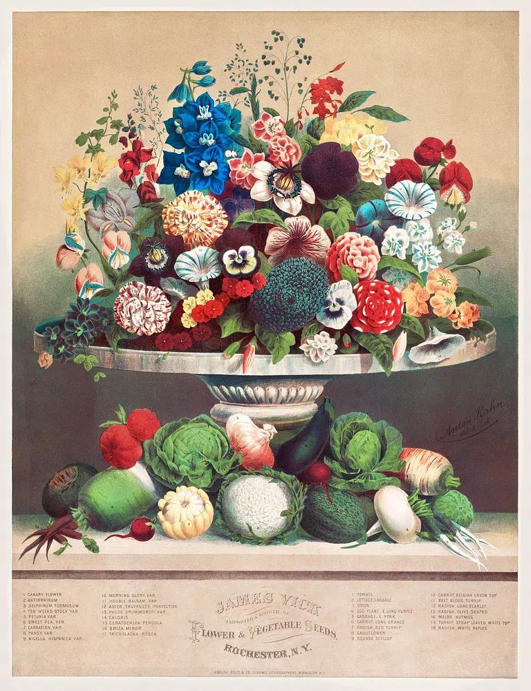 Flowers Vegetables (ca. 1800) byAnton. poster — botanical art