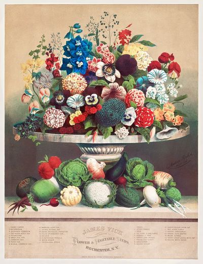 Flowers Vegetables (ca. 1800) byAnton. poster print