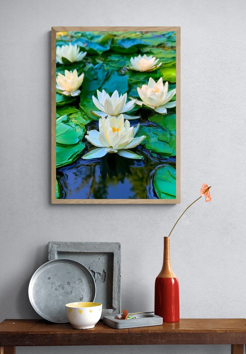 Water Lilies Botanical Print. — room view 3