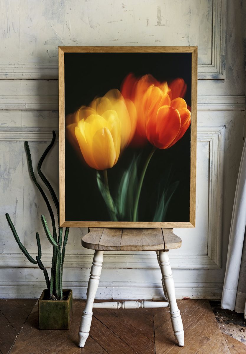 Blurred Tulips Botanical Print room preview