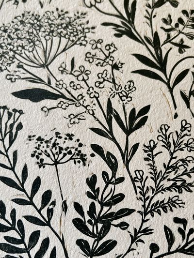 Wild Meadow Botanical Print. poster
