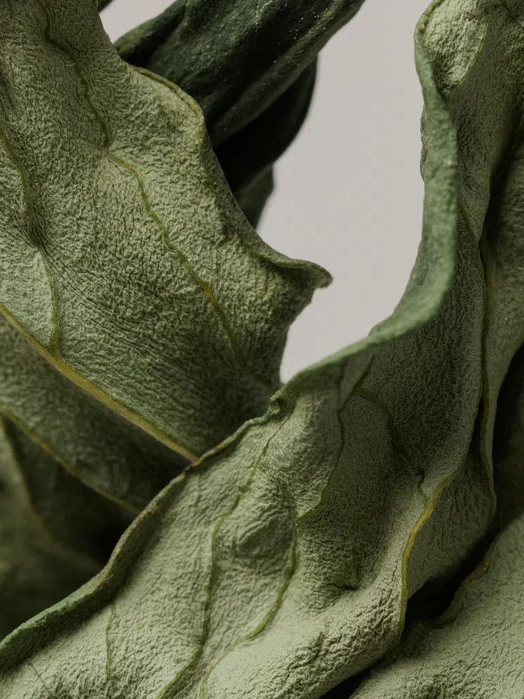 Dried peony leaf gray background. poster — botanical art