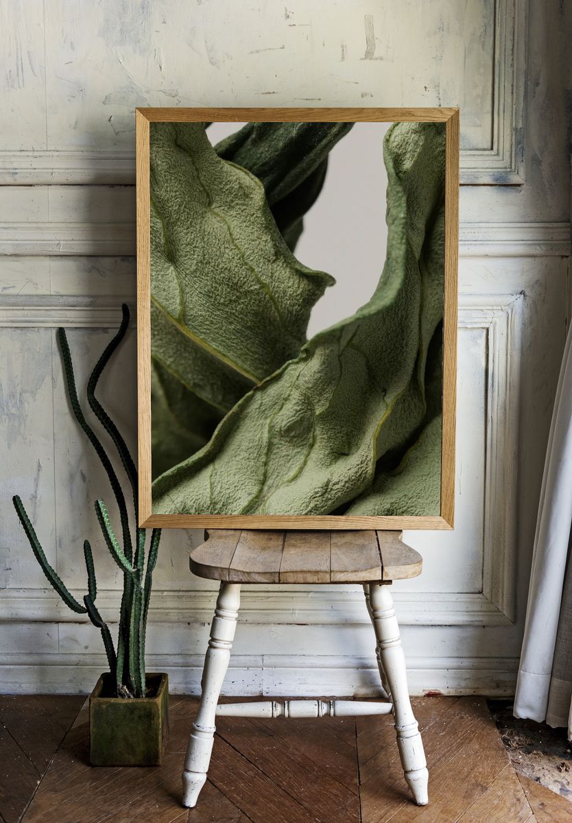 Dried peony leaf gray background. room preview