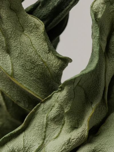 Dried peony leaf gray background. poster print
