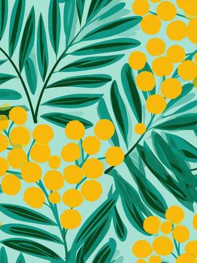 Mimosa Leaves Botanical Print. poster