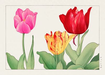 Tulip, Japanese woodblock art. Digitally. poster print