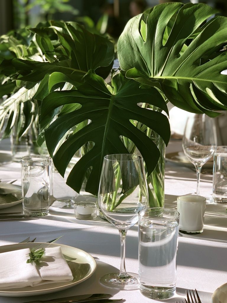 Monstera Table Setting Botanical Print. poster detail