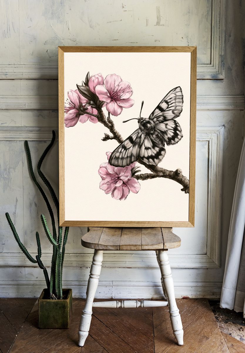 Cherry Blossom Butterfly Illustration Poster. room preview