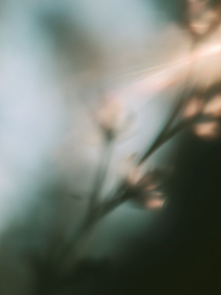 Soft Botanical Blur Print. poster — botanical art