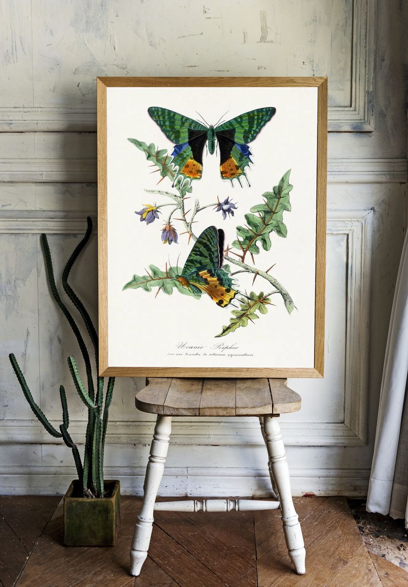 Tropical Leaf Collage Botanical Print. — room view 1
