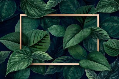 Gold rectangle frame metallic green. poster print