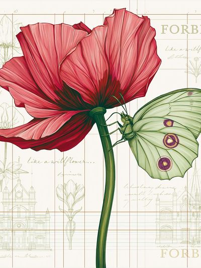 Pink Poppy and Moth Botanical Print. poster