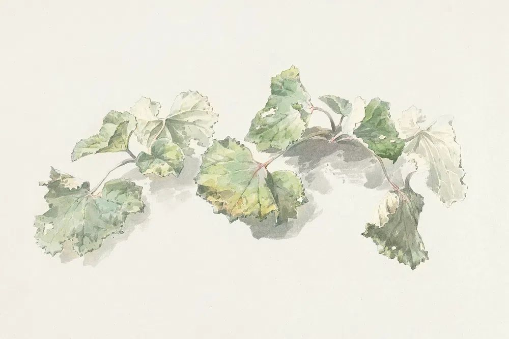 Soft Green Leaves Watercolor Print. poster detail