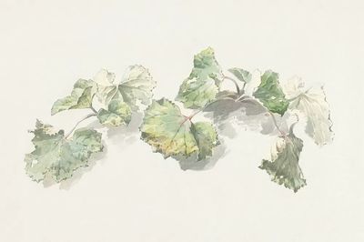 Soft Green Leaves Watercolor Print. poster print