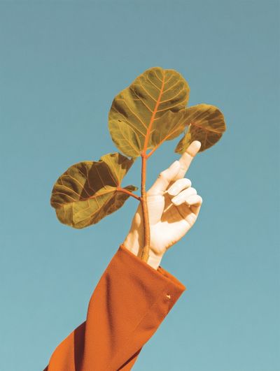 Hand and Leaf Minimalist Print. poster print