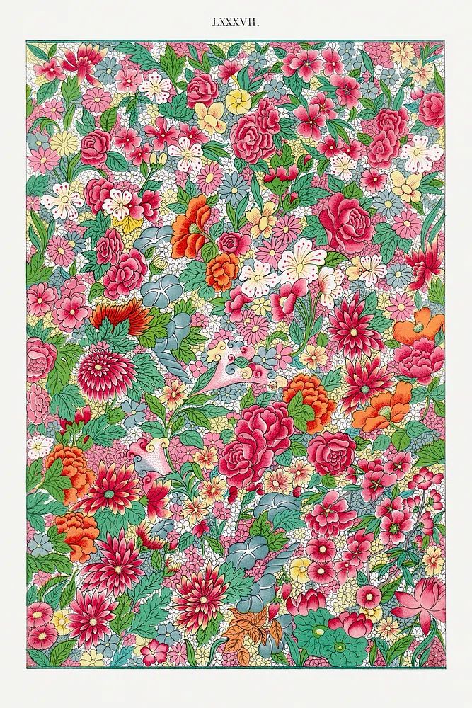 Colorful flower pattern, Examples Chinese. poster — botanical art