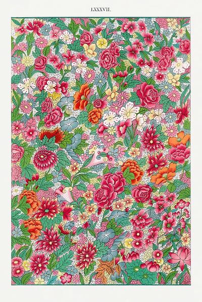 Colorful flower pattern, Examples Chinese. poster print
