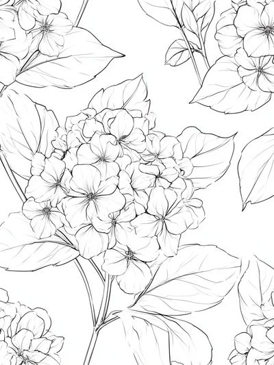 Hydrangea Bloom Line Art Poster. poster