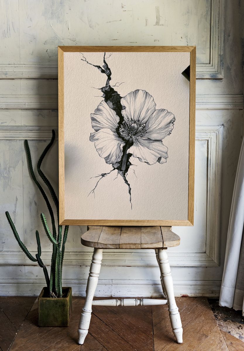 Cracked Poppy Botanical Print. — room view 1