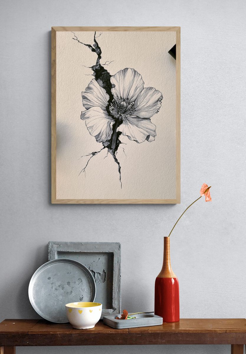 Cracked Poppy Botanical Print. — room view 3