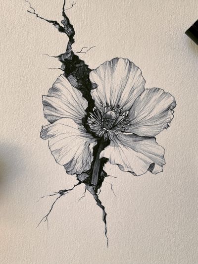 Cracked Poppy Botanical Print. poster