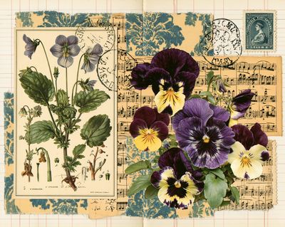 Vintage Pansy Collage Print. poster