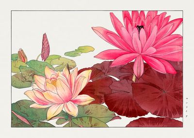 Nymphaea lotus, Japanese woodblock art. poster