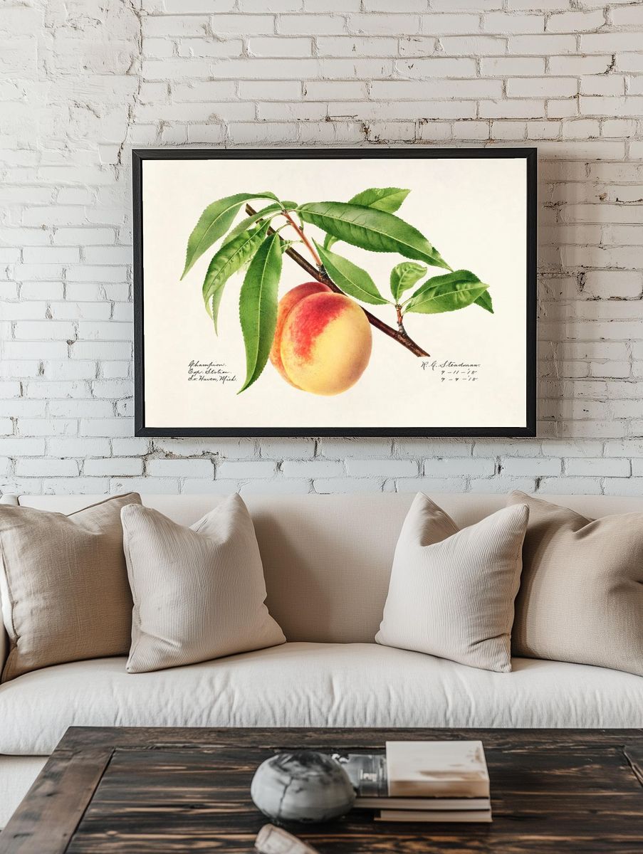 Peach Twig (Prunus Persica) (1918). — room view 1