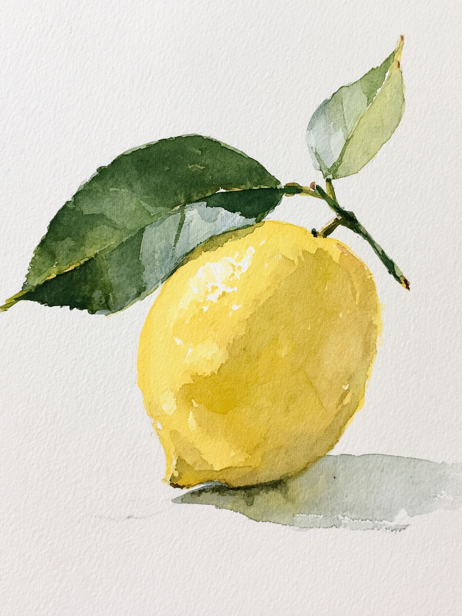Lemon Watercolor Poster. poster — botanical art