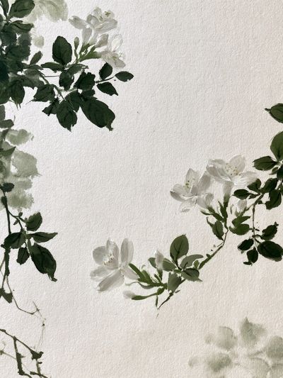 White Blossom Botanical Print.
