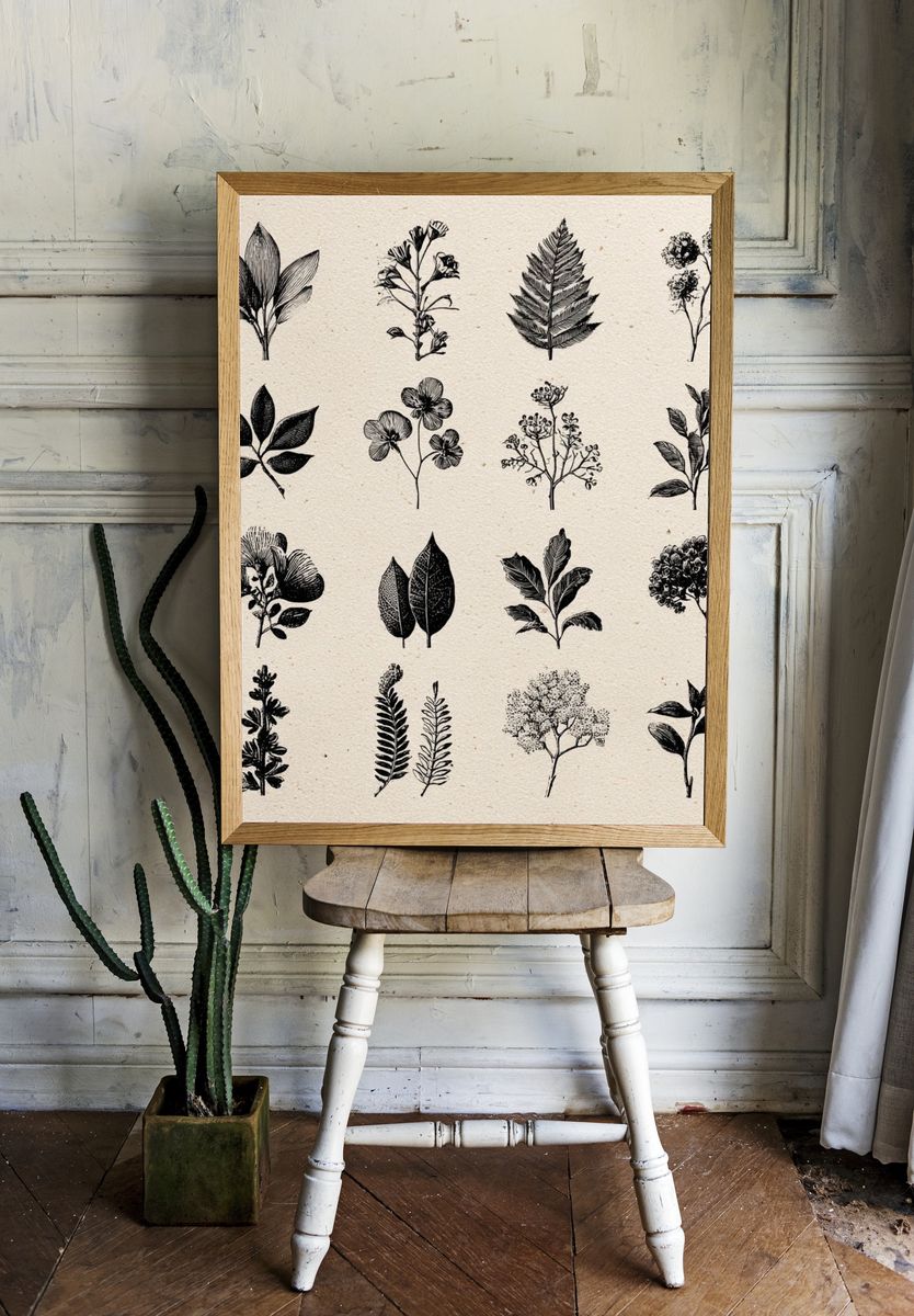 Botanical Ink Study Poster. room preview